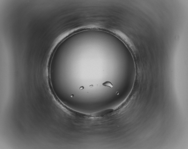 X0000111391335200907101138