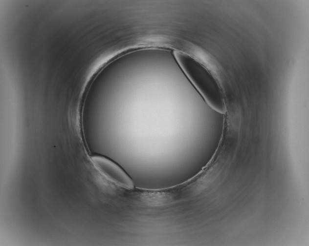 X0000111391336200907101138
