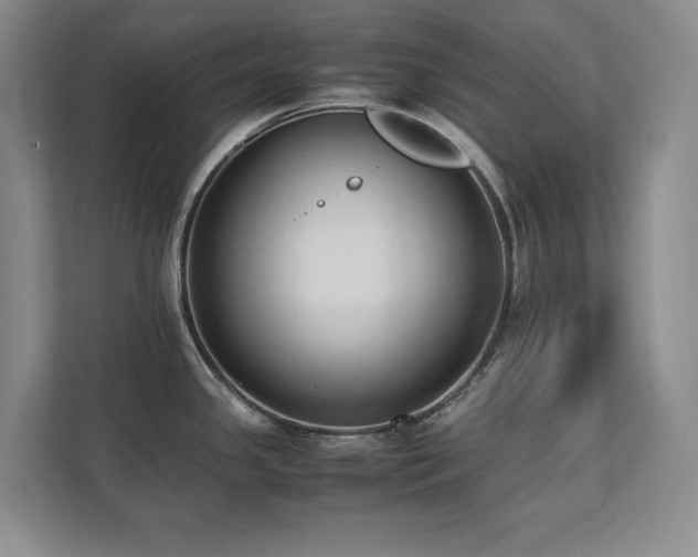 X0000111391341200907101138