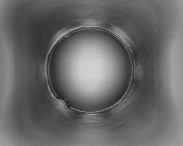X0000111391342200907101138
