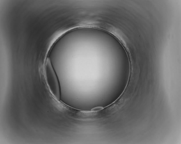 X0000111391344200907101138