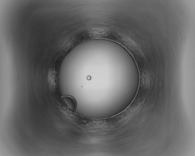 X0000111391346200907101138