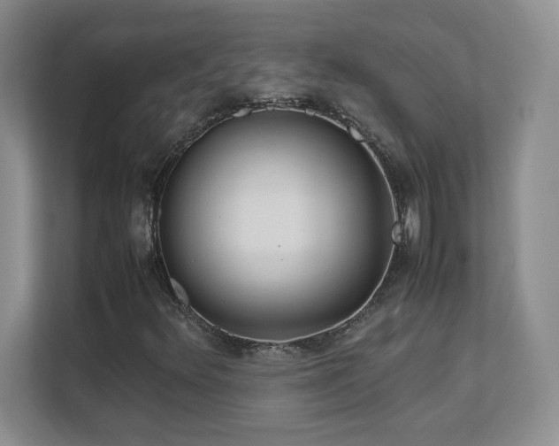 X0000111391348200907101138