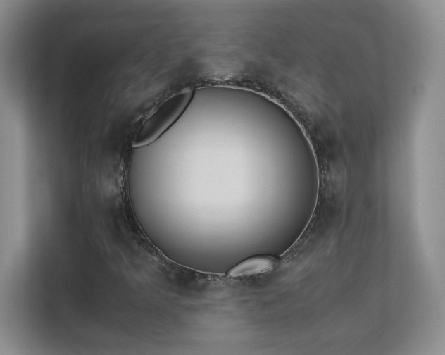 X0000111391349200907101138