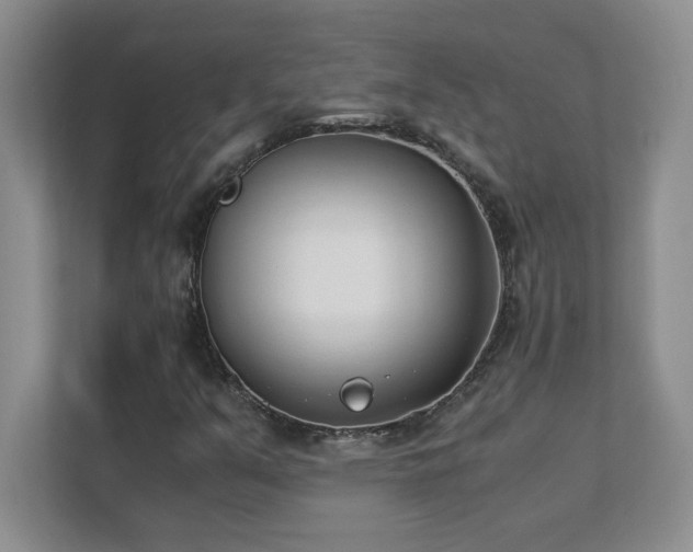 X0000111391351200907101138