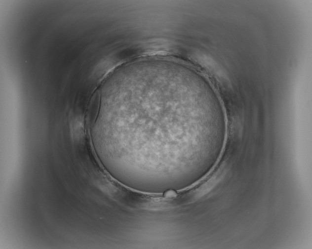 X0000111391353200907101138