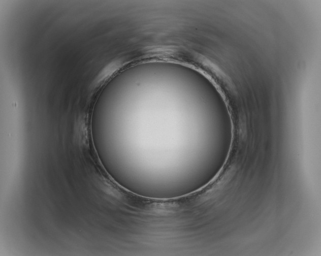 X0000111391354200907101138