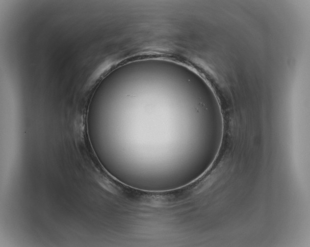X0000111391355200907101138