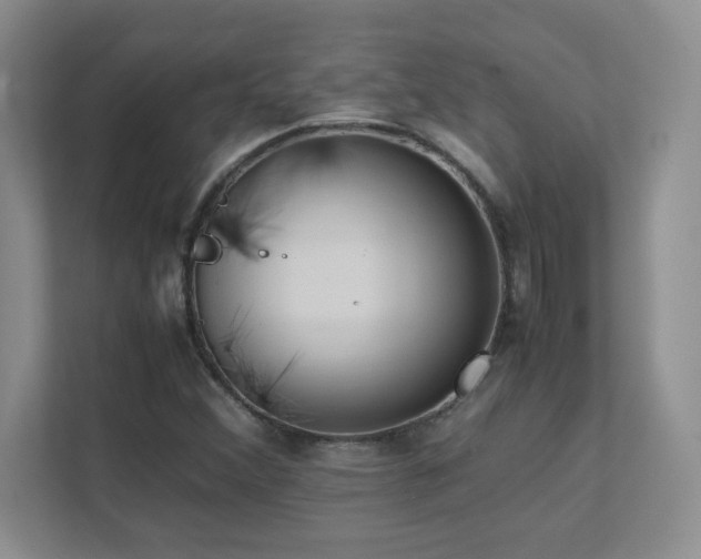 X0000111391356200907101138