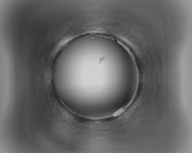 X0000111391359200907101138