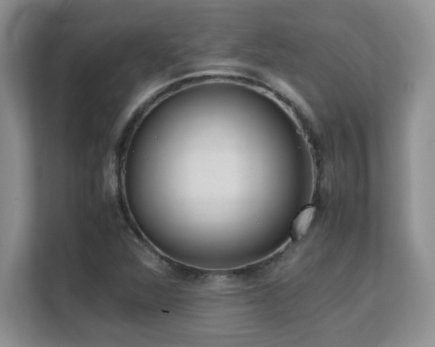 X0000111391360200907101138