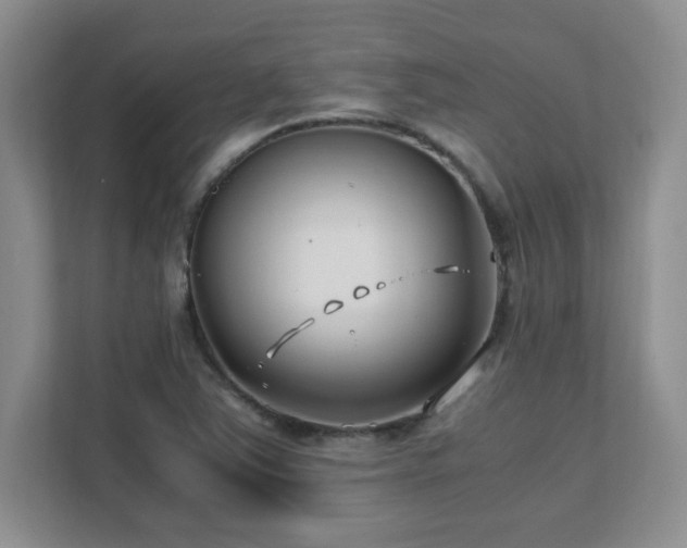 X0000111391363200907101138