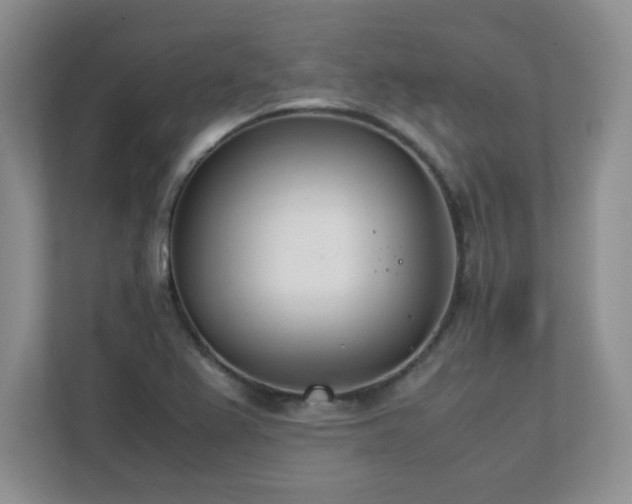 X0000111391367200907101138