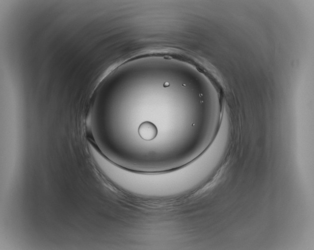 X0000111391369200907101137