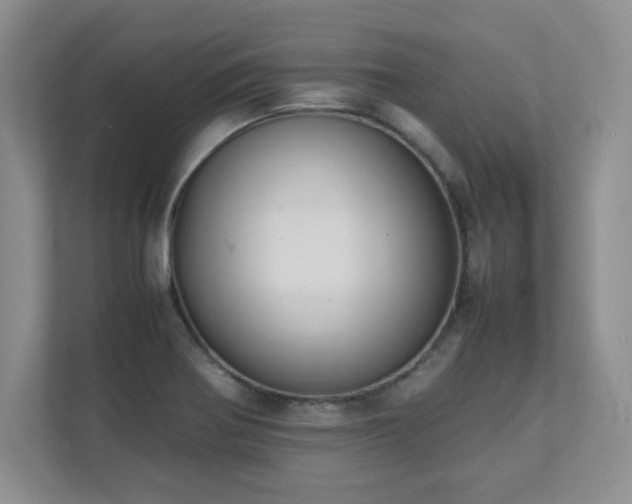 X0000111391370200907101137