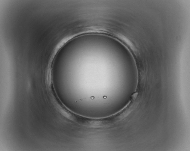 X0000111391371200907101137