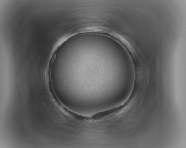 X0000111391373200907101137