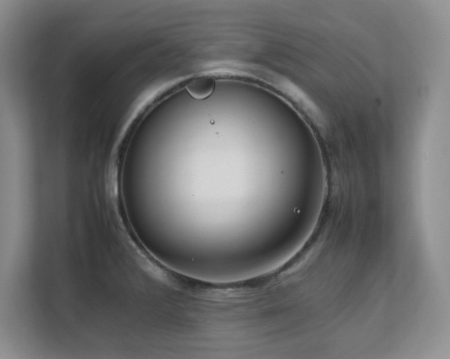 X0000111391376200907101137