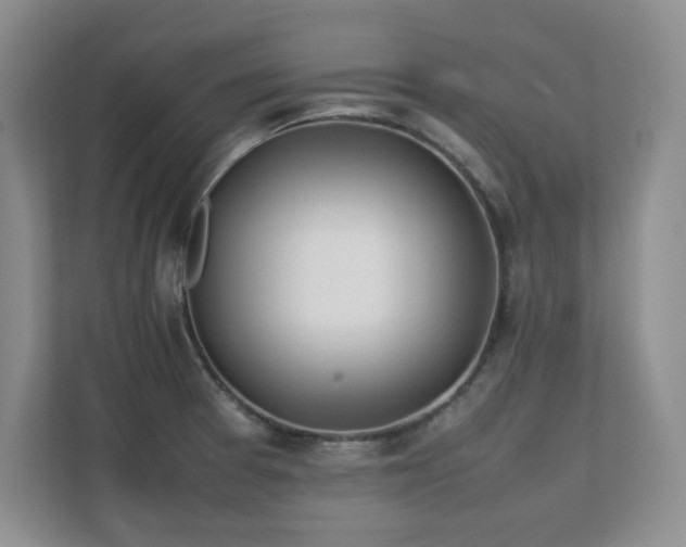 X0000111391377200907101137