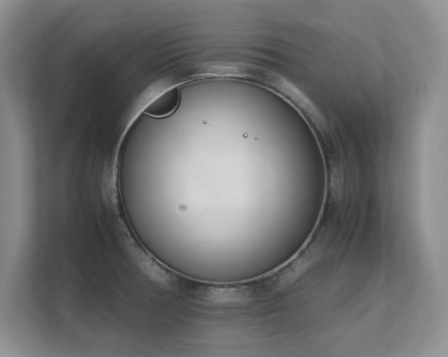 X0000111391378200907101137