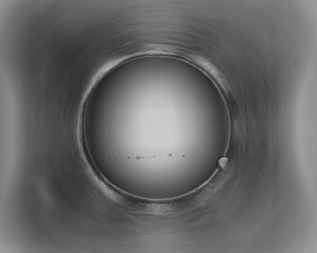 X0000111391379200907101137