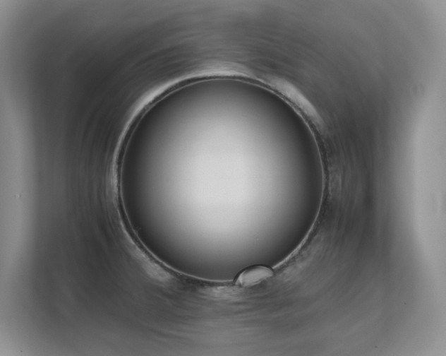 X0000111391380200907101137