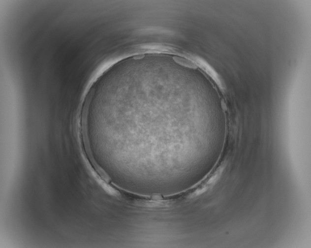 X0000111391381200907101137