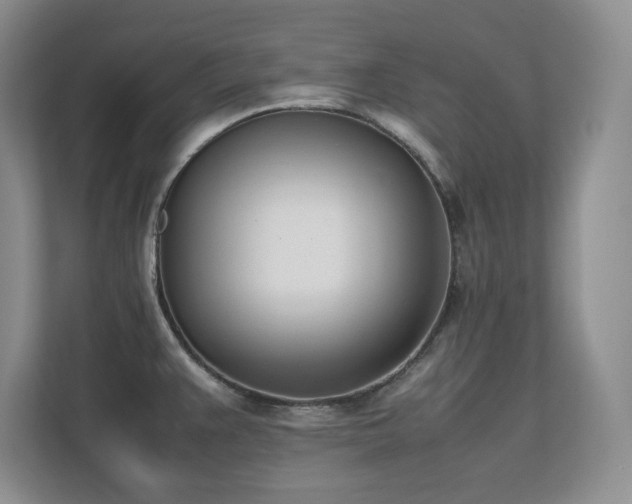 X0000111391383200907101137