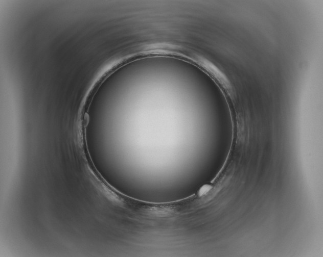 X0000111391384200907101137