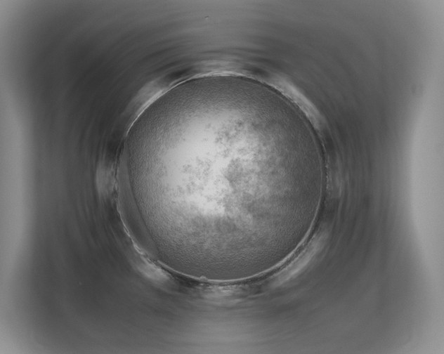 X0000111391385200907101137