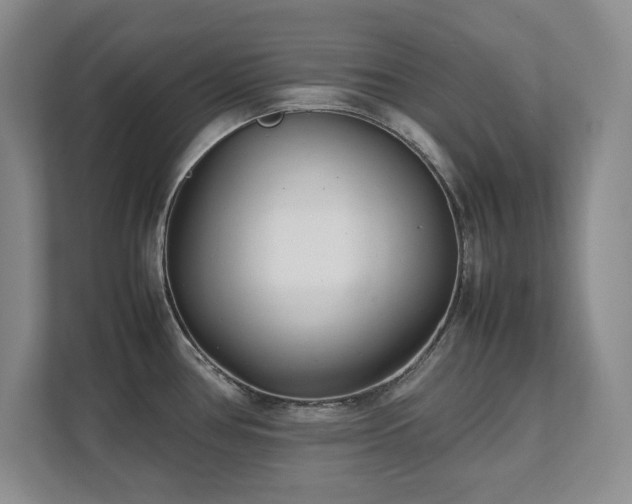 X0000111391386200907101137
