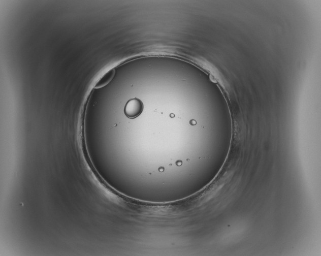 X0000111391387200907101137