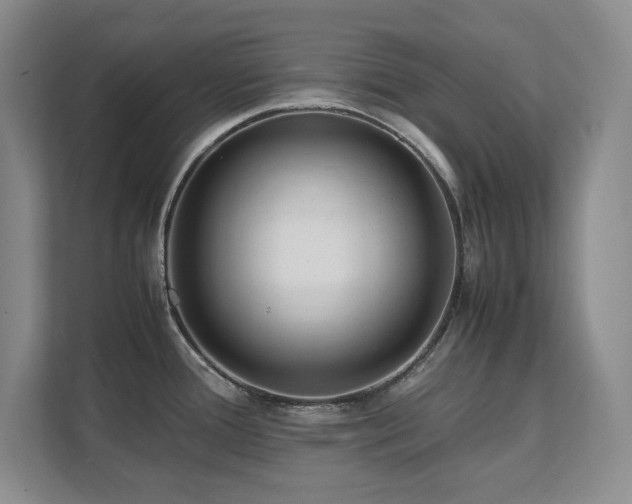 X0000111391388200907101137