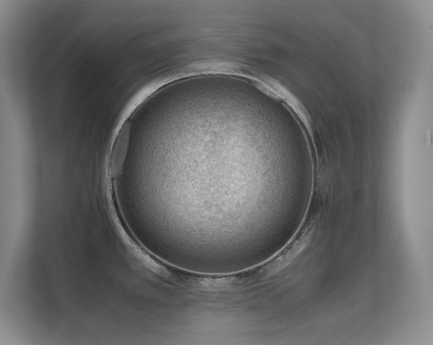 X0000111391389200907101137