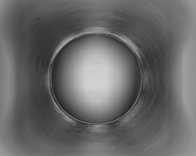 X0000111391390200907101137