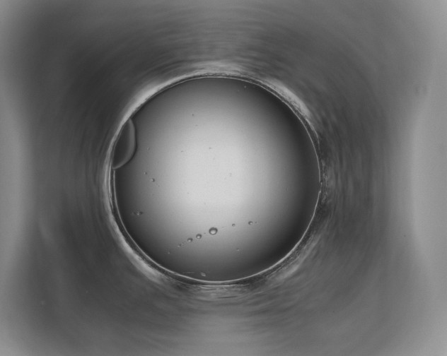 X0000111391391200907101137