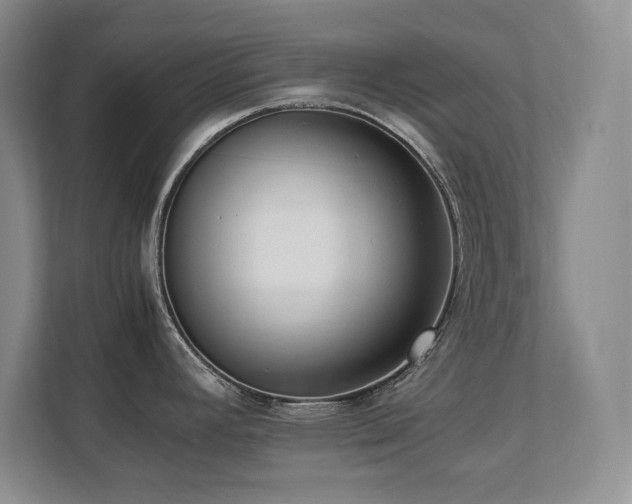 X0000111391392200907101137