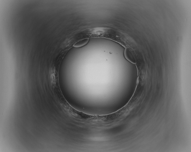 X0000111391394200907101137