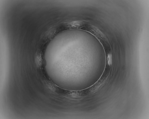 X0000111391395200907101137