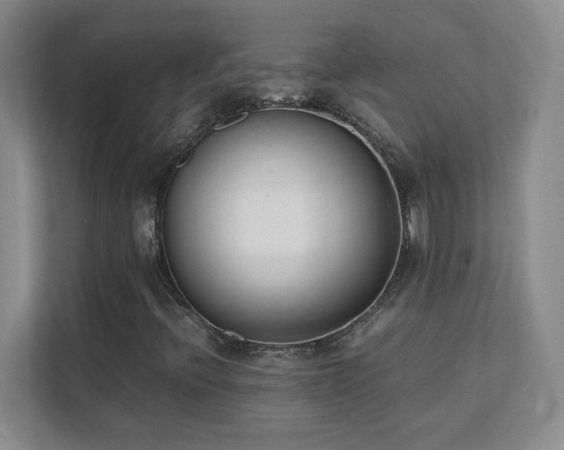 X0000111391396200907101137