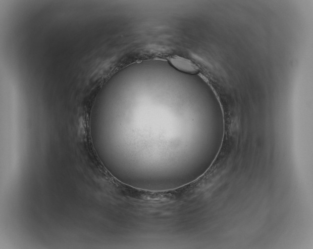 X0000111391397200907101137