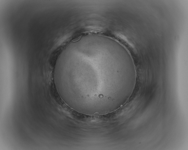 X0000111391399200907101137