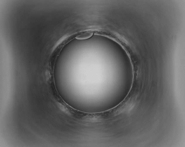 X0000111391400200907101137