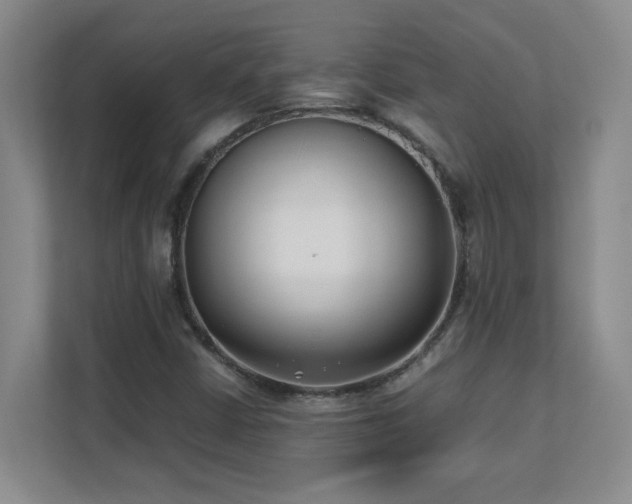 X0000111391402200907101137