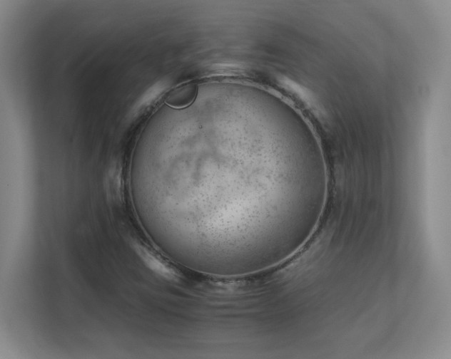 X0000111391403200907101137