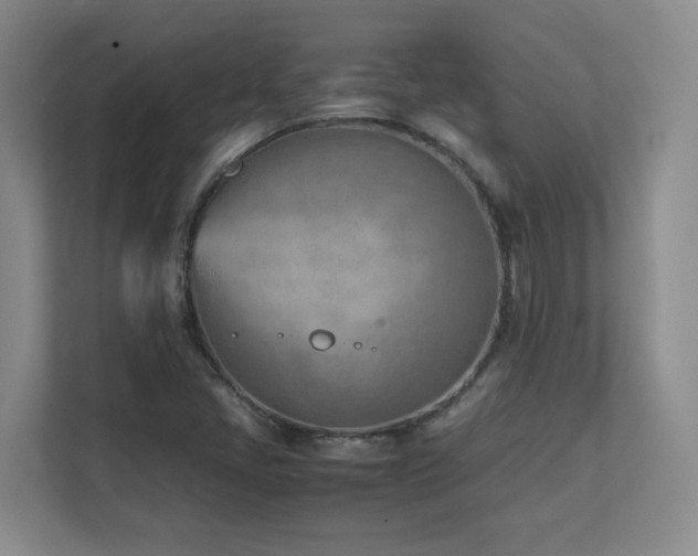 X0000111391405200907101137