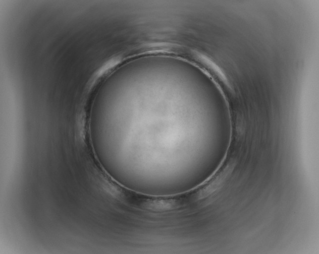 X0000111391411200907101137