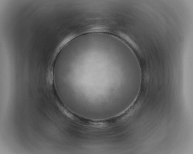 X0000111391413200907101137