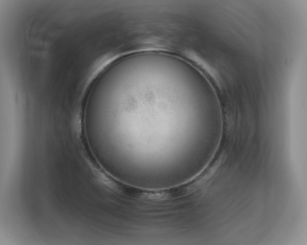 X0000111391415200907101137