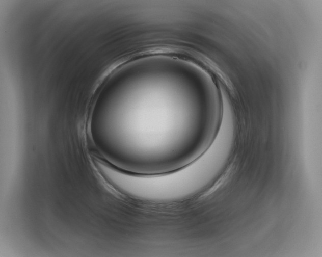 X0000111391417200907101137